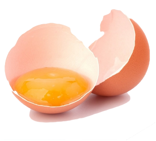 brokenegg